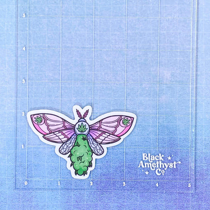 Black Amethyst Canna Moth Vinyl Sticker- 2 Variations! 