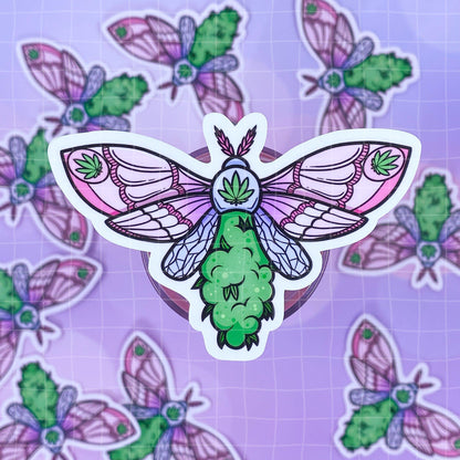 Black Amethyst Canna Moth Vinyl Sticker- 2 Variations! 